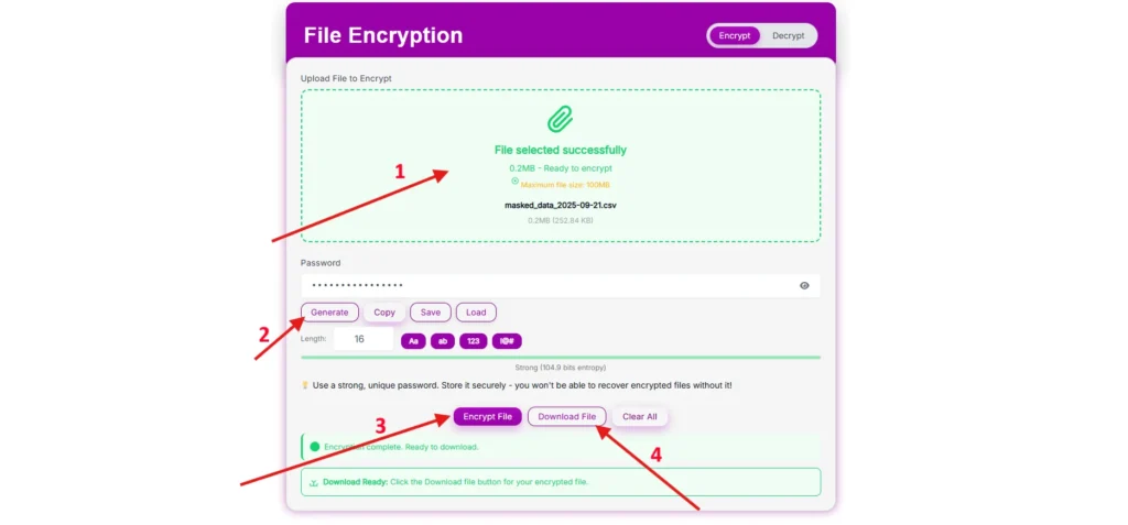 How to Use the Advanced File Encryption tool