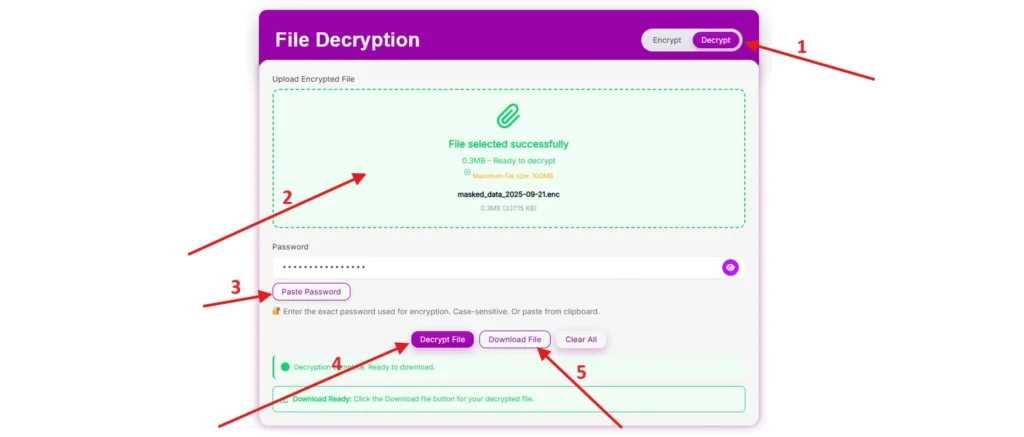 How to Use the File Decryption tool